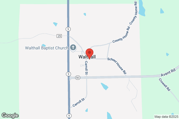 Village of Walthall
