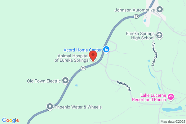 Animal Hospital of Eureka Springs