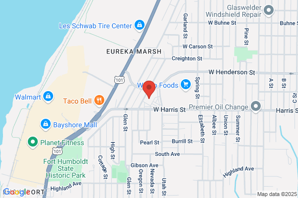 AutoZone Auto Parts