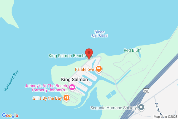 King Salmon Sport Fishing