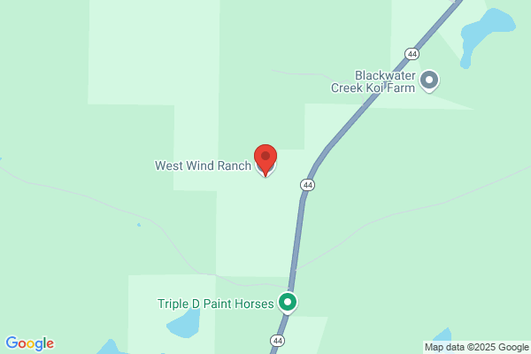 West Wind Ranch Inc