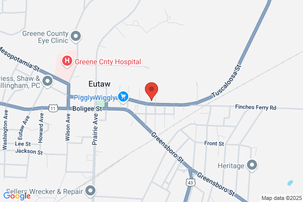 Eutaw Elderly Village Inc