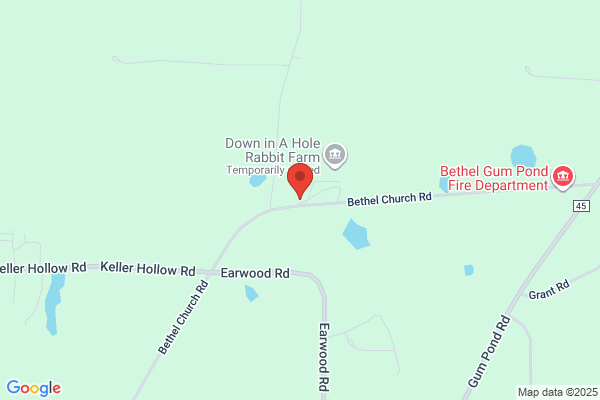 Bethel United Methodist Church Morgan County