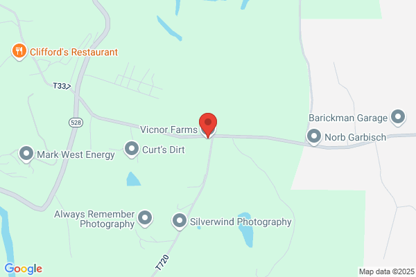 Vicnor Farms Inc
