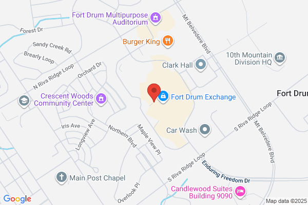 NAPA Auto Parts - Standard Auto Parts