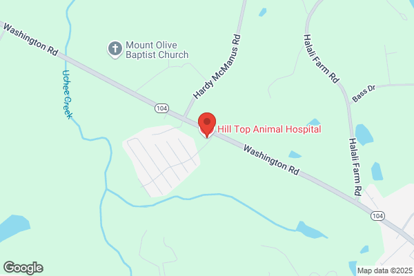 Hill Top Animal Hospital