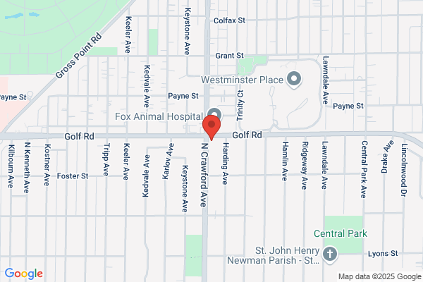 Golf Crawford Auto Service