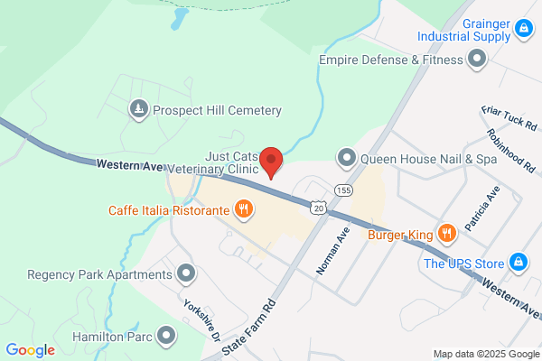 Rosenstein Herbert R DDS PC