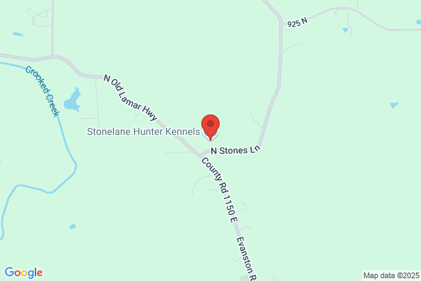 Stonelane Hunters Labs