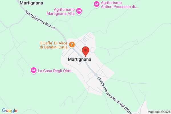 Martin Group the