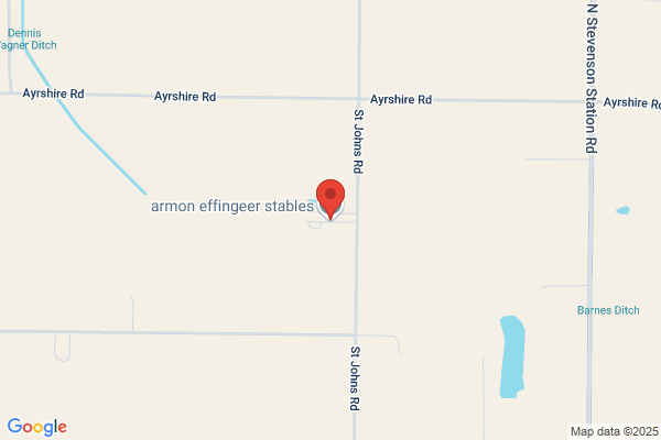 Effinger Armon Stables