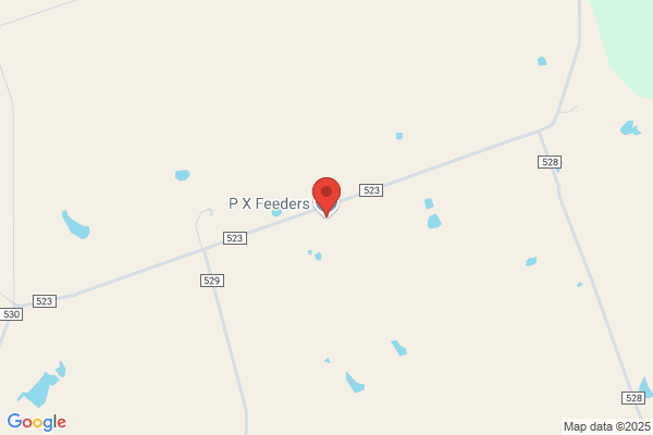 Marwitz Cattle