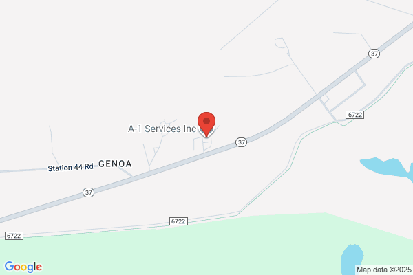 A-1 Services Inc.