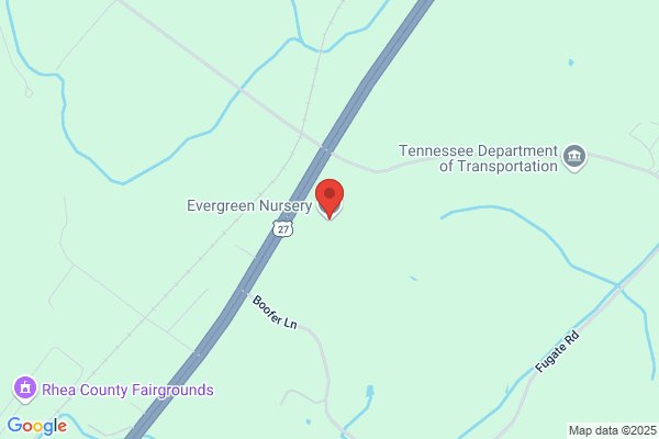 Evergreen Nursery