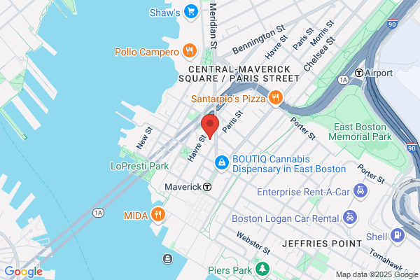 Boston Therapy