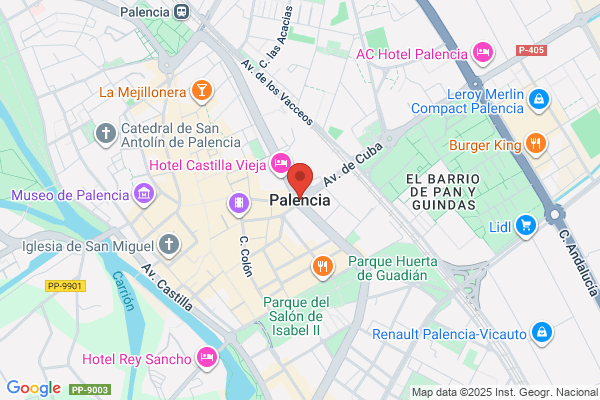 Palencia Corporation