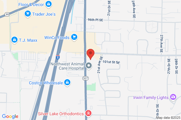 Bryant L. Trinh, DDS