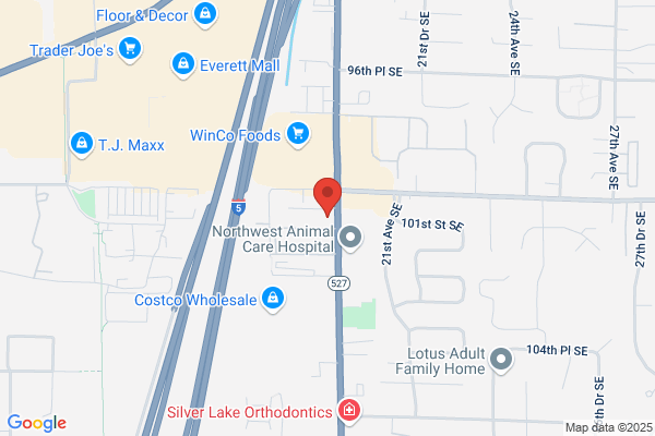 Icon Dental Center Everett