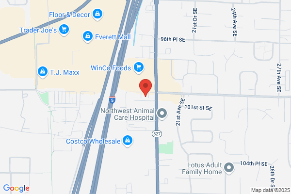 Silver Lake Dental Arts