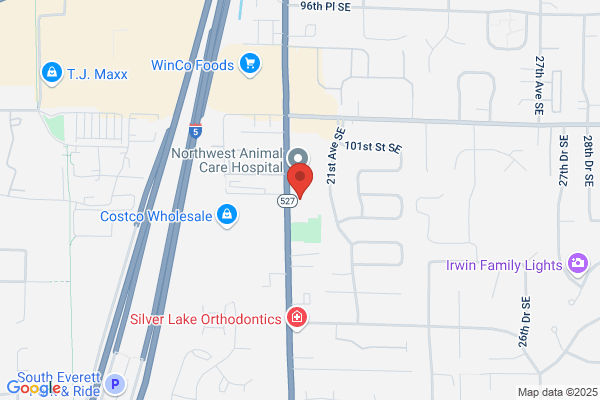 19th Avenue Dental