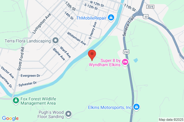 Dogwood Tree Service