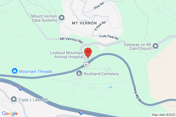 Lookout Mountain Vet
