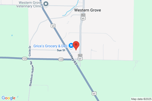 Western Grove Iga, Store