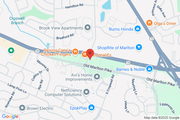 Advance Auto Parts