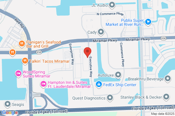 Digital Video Systems Inc
