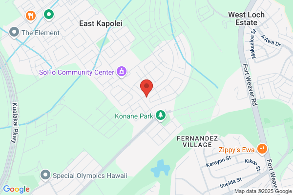Hawaii Tree Service Company