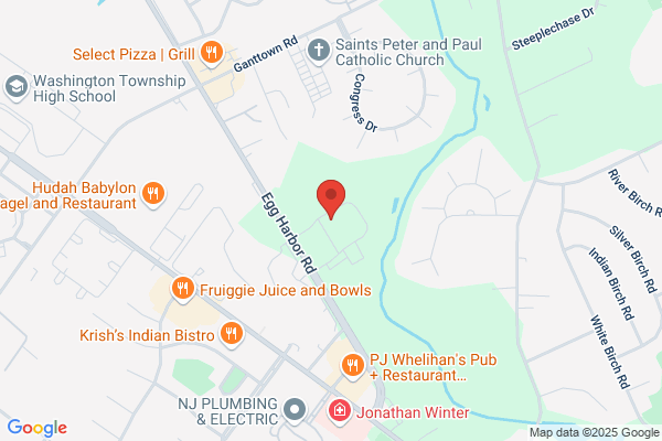 Greenberg Alan MD