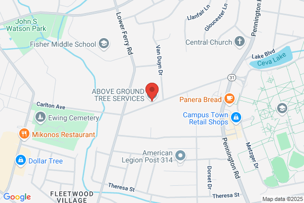 Above Ground Tree Service