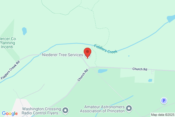 Niederer Tree Service