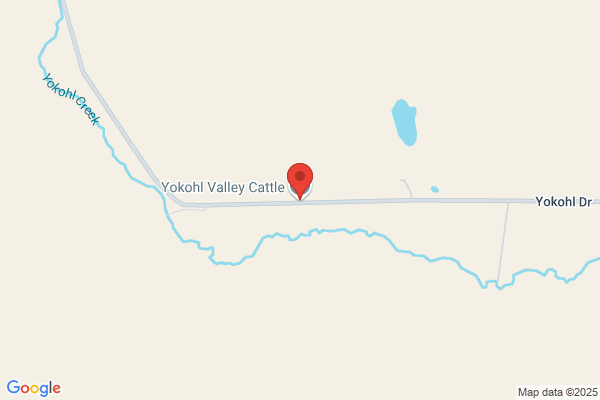 Yokohl Valley Cattle Co