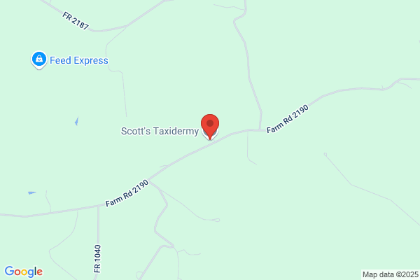Scott's Taxidermy