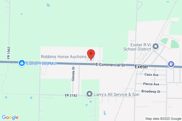 Robbins Horse Auctions
