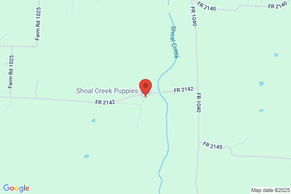 Shoal Creek Puppies