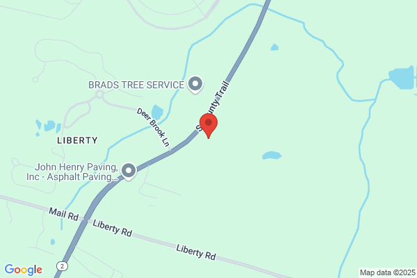 Alamo Tree Service
