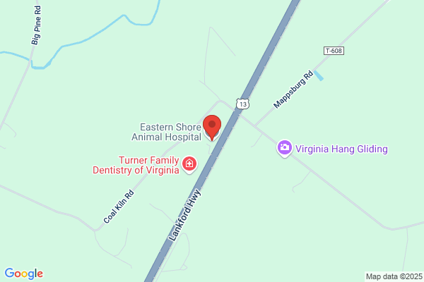 Eastern Shore Animal Hospital