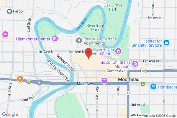 Quilted Ladybug