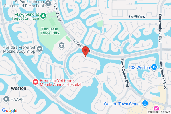 Website Rescue Local SEO Services