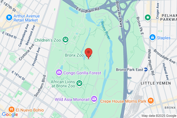 Bronx Zoo the