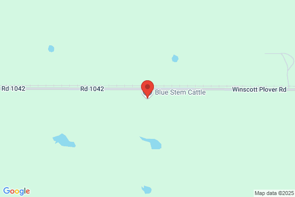 Blue Stem Cattle Co