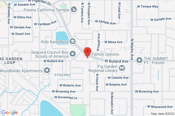 Family Options, LLC
