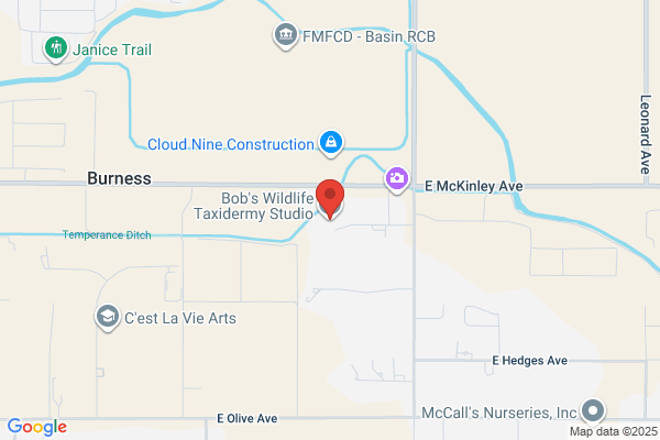 Freitas & Son Taxidermists