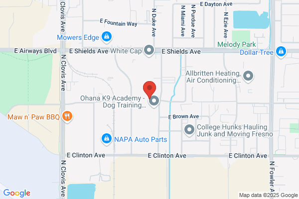 F&B Automotive, Inc