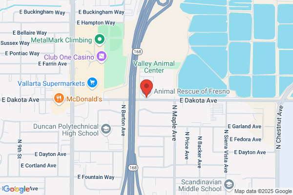 Pet Finders of Fresno