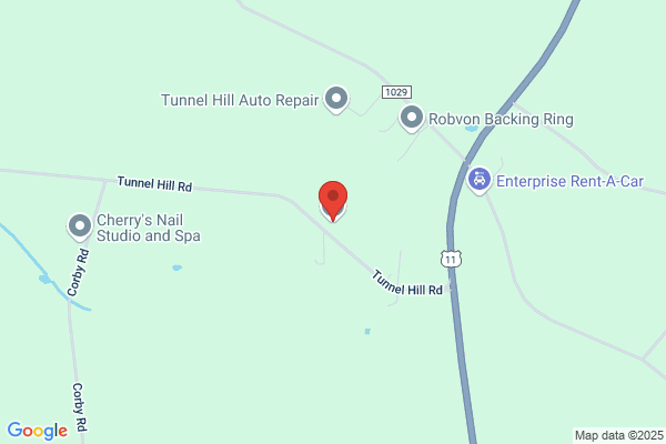 Tunnell Hill Drive In