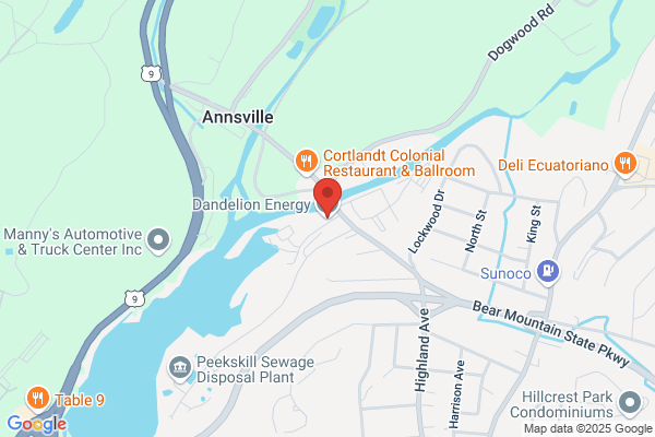 Dandelion Plumbing Service