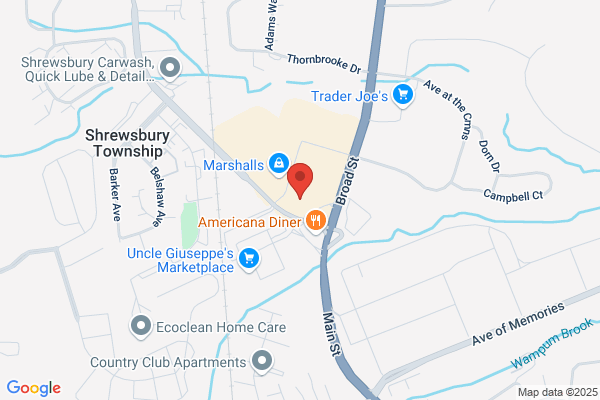 Navesink Technical Services Inc